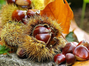 castagne